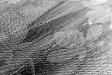 SLIKA NEVSAKDANJE ČRNOBELE ZASNOVE - ČRNOBELE SLIKE - SLIKE