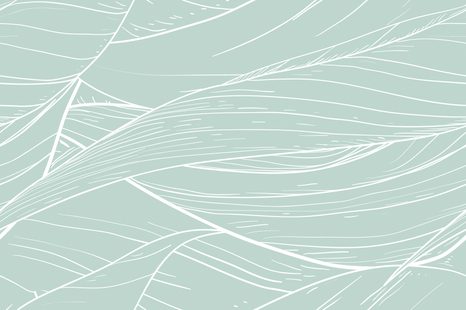 ΤΑΠΕΤΣΑΡΊΑ ΔΟΜΉ ΦΎΛΛΟΥ ΣΕ ΠΡΆΣΙΝΟ ΧΡΏΜΑ - ΤΑΠΕΤΣΑΡΊΑ ΦΎΣΗ - ΤΑΠΕΤΣΑΡΊΕΣ