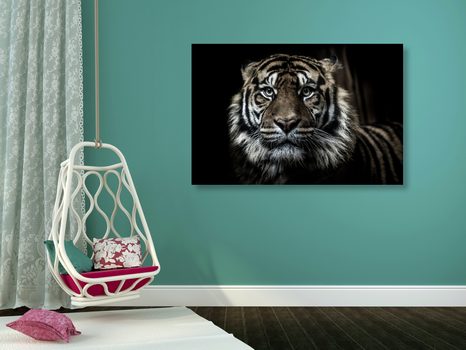 QUADRO SU TELA – TIGRE - 🔥 SVENDITA TOTALE