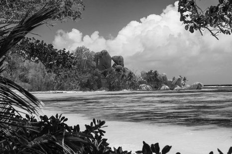 OBRAZ NÁDHERNÁ PLÁŽ NA OSTROVĚ LA DIGUE V ČERNOBÍLÉM PROVEDENÍ - ČERNOBÍLÉ OBRAZY - OBRAZY