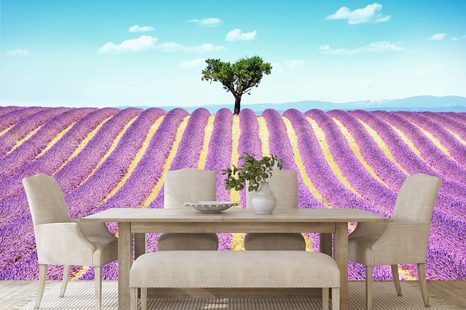 SELBSTKLEBENDE FOTOTAPETE PROVENZALISCHES LAVENDELFELD - SELBSTKLEBENDE TAPETEN - TAPETEN