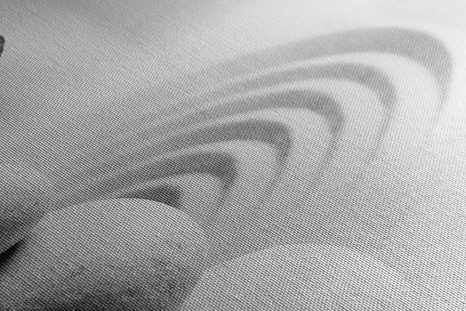 STAMPA SU TELA – EQUILIBRIO DI PIETRE E FARFALLA IN BIANCO E NERO - QUADRI BIANCO E NERO - STAMPE E QUADRI