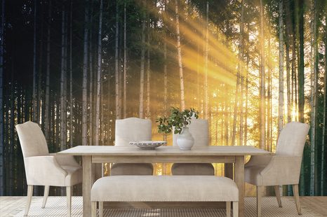 SAMOLEPÍCÍ FOTOTAPETA SLUNCE ZA STROMY - SAMOLEPÍCÍ TAPETY - TAPETY