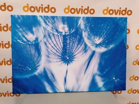 STAMPA SU TELA – SOFFIONE IN TONALITÀ BLU - QUADRI DI FIORI - STAMPE E QUADRI