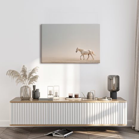 OBRAZ BÍLÝ KŮŇ V POUŠTI - OBRAZY KONĚ - OBRAZY