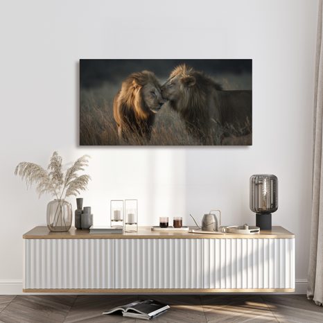 OBRAZ LVÍ KRÁLOVSKÁ HARMONIE - OBRAZY LVI A TYGŘI - OBRAZY