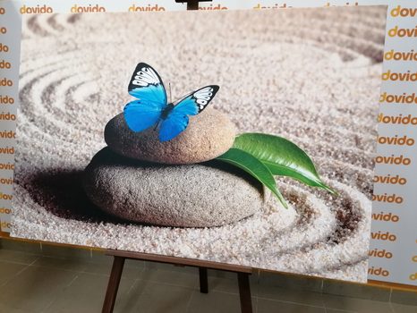 OBRAZ MODRÝ MOTÝL V ZEN ZAHRADĚ - OBRAZY FENG SHUI - OBRAZY