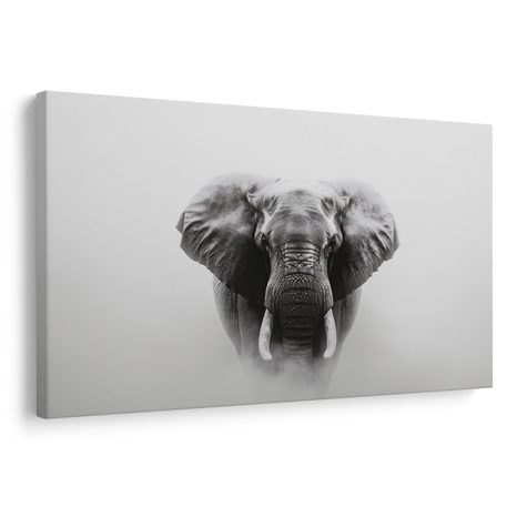 OBRAZ MAJESTÁTNÍ SLON V MLZE - OBRAZY SLONI - OBRAZY