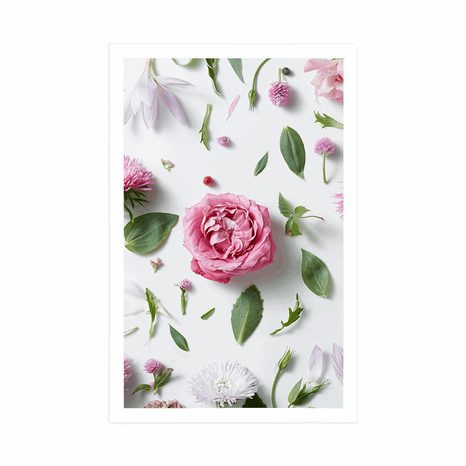 POSTER DELICATE FLORAL STILL LIFE - FLOWERS - POSTERS