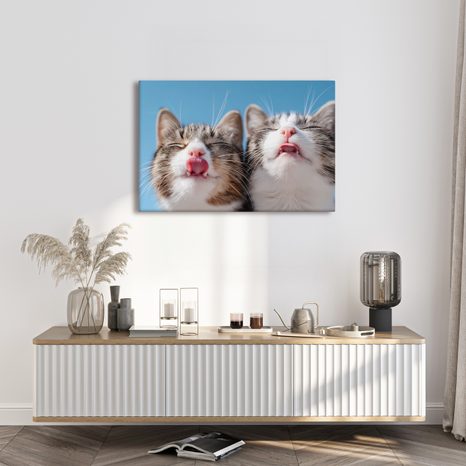 OBRAZ HRAVÉ KOČKY NA MODRÉM POZADÍ - OBRAZY KOČKY - OBRAZY