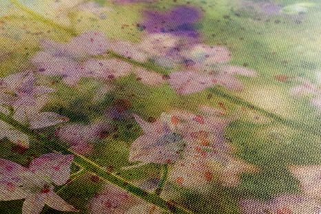 ΕΙΚΌΝΑ ΣΧΈΔΙΟ ΑΚΟΥΑΡΈΛΑΣ ΕΝΌΣ ΦΥΤΟΎ ΒΟΥΝΟΎ - ΠΊΝΑΚΕΣ ΑΠΌ ΛΟΥΛΟΎΔΙΑ - ΠΊΝΑΚΕΣ