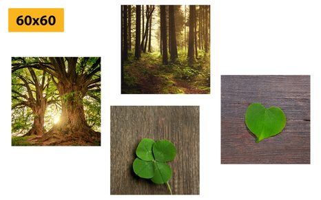 BILDER-SET HAUCH VON NATUR - BILDERSETS - BILDER