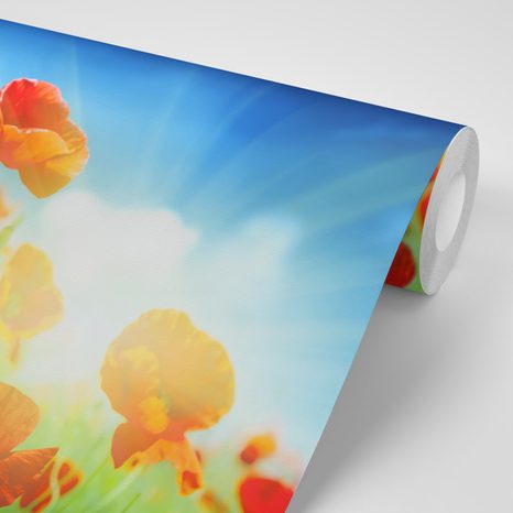 SAMOLEPÍCÍ TAPETA VLČÍ MÁK NA LOUCE - SAMOLEPÍCÍ TAPETY - TAPETY