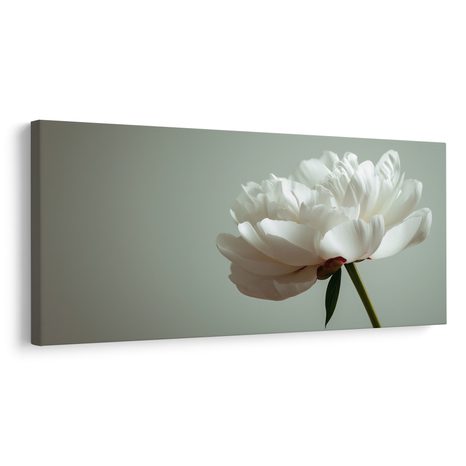 WANDBILD BLUMIGE ELEGANZ AUF WEISS - BILDER BLUMEN - BILDER