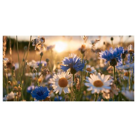 CANVASTAVLA SOMMARÄNG I GYLLENE LJUS - BLOMTAVLOR - TAVLOR