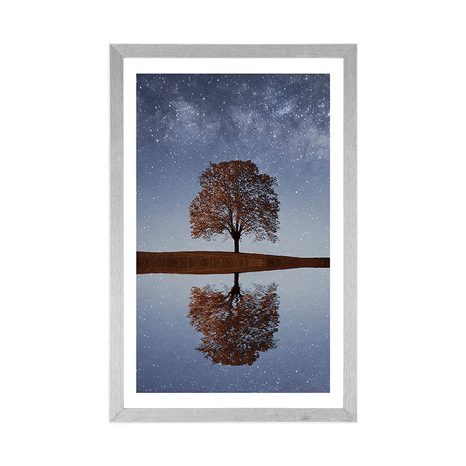 POSTER – CIELO STELLATO SOPRA UN ALBERO SOLITARIO - NATURA - POSTER