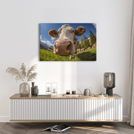 OBRAZ KRÁVA V HORSKÉ PŘÍRODĚ - OBRAZY BUVOLI A KRÁVY - OBRAZY