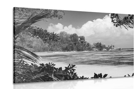 CANVAS PRINT BEAUTIFUL BEACH ON THE ISLAND OF LA DIGUE IN BLACK AND WHITE - BLACK AND WHITE PICTURES - PICTURES