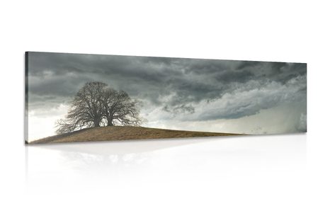TABLEAU SUR TOILE – ARBRES SOLITAIRES - TABLEAUX DE LA NATURE ET DES PAYSAGES - TABLEAUX