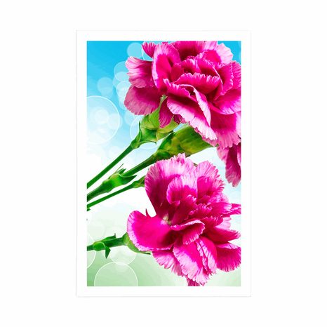 PLAKÁT KVĚT KARAFIÁTU - KVĚTINY - PLAKÁTY