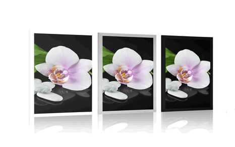 PLAKÁT ZEN KAMENY A ORCHIDEJ - KVĚTINY - PLAKÁTY