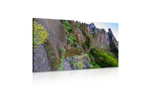 WANDBILD ENGER WANDERWEG - BILDER VON NATUR UND LANDSCHAFT - BILDER