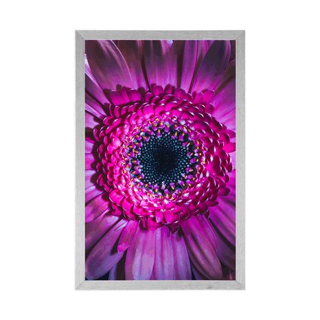 PLAGÁT PURPUROVÁ GERBERA - KVETY - PLAGÁTY