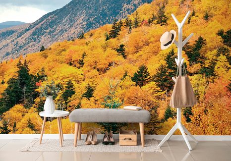 SAMOLEPÍCÍ FOTOTAPETA POHLED NA MAJESTÁTNÍ LES - SAMOLEPÍCÍ TAPETY - TAPETY