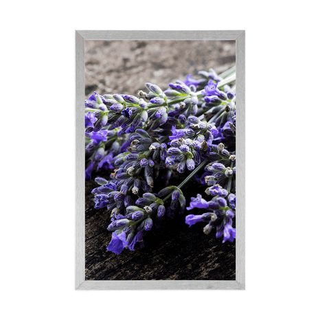 PLAKÁT KYTICE Z LEVANDULE - KVĚTINY - PLAKÁTY