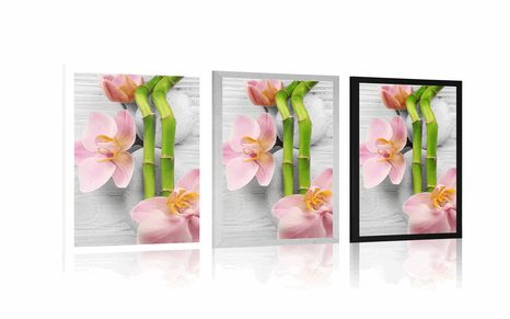 PLAKÁT NĚŽNÁ ZEN KOMPOZICE - FENG SHUI - PLAKÁTY