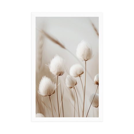 PLAKÁT BAVLNĚNÉ STONKY - BOTANICKÉ - PLAKÁTY