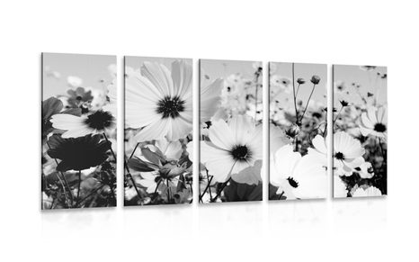 5-TEILIGES WANDBILD WIESE MIT FRÜHLINGSBLUMEN IN SCHWARZ-WEISS - SCHWARZ-WEISSE BILDER - BILDER