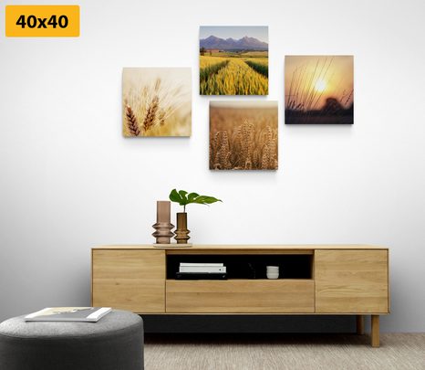 SET OBRAZŮ KOUZLO PŘÍRODY - SESTAVY OBRAZŮ - OBRAZY