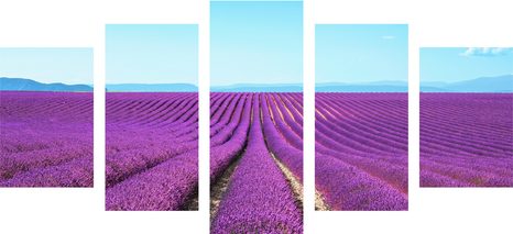 5 RÉSZES KÉP VÉGTELEN LEVANDULA MEZŐ - TERMÉSZET- ÉS TÁJKÉPEK - KÉPEK