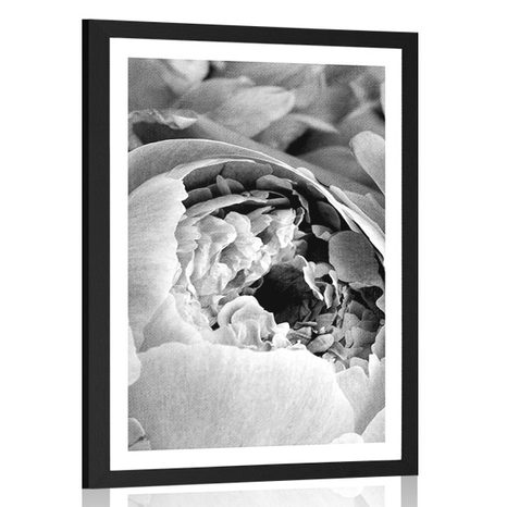 AFFICHE AVEC MONTURE PÉTALES DE FLEURS EN NOIR ET BLANC - NOIR ET BLANC - AFFICHES