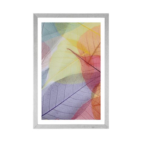 POSTER – VENATURE SULLE FOGLIE COLORATE - NATURA - POSTER