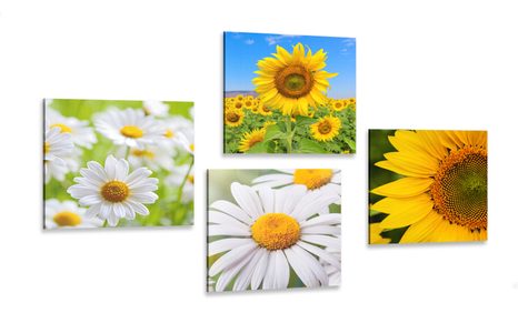 CANVAS PRINT SET BEAUTIFUL FLOWERS IN A MEADOW - SET OF PICTURES - PICTURES