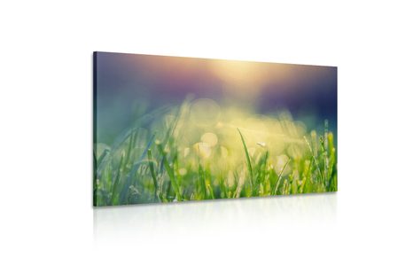 ΕΙΚΌΝΑ ΔΡΟΣΙΆ ΛΙΒΑΔΙΟΎ - ΠΊΝΑΚΕΣ ΦΎΣΗΣ ΚΑΙ ΤΟΠΊΟΥ - ΠΊΝΑΚΕΣ