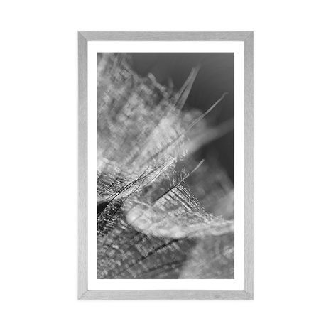 POSTER WITH MOUNT BLACK AND WHITE MACRO DANDELION ON THE BACKGROUND - BLACK AND WHITE - POSTERS