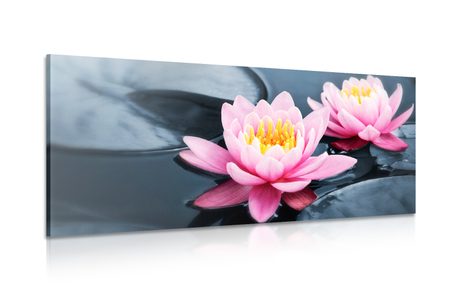 WANDBILD LOTOSBLÜTE IM SEE - BILDER BLUMEN - BILDER