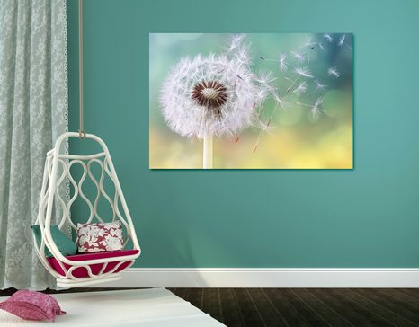 TABLOU PĂPĂDIE MAGICĂ - TABLOU FLORI - TABLOURI