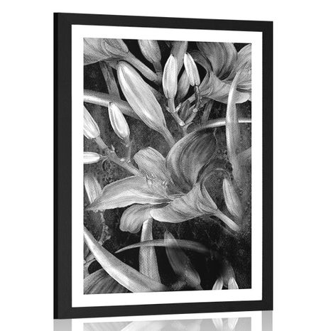 POSTER – FIORITURA DI GIGLIO IN BIANCO E NERO - NERO E BIANCO - POSTER
