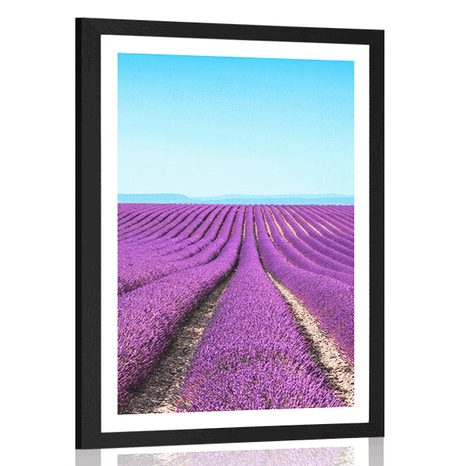 POSTER WITH MOUNT ENDLESS LAVENDER FIELD - NATURE - POSTERS