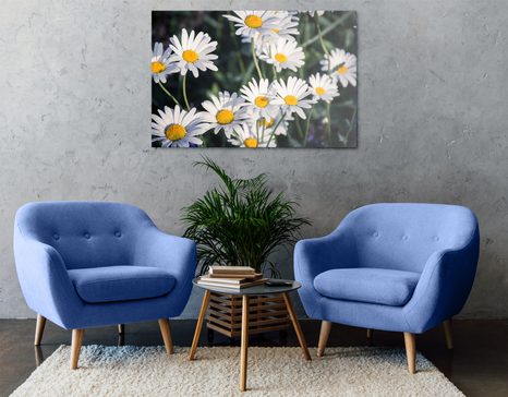 TABLEAU SUR TOILE – MARGUERITES DANS LE JARDIN - TABLEAUX DE FLEURS - TABLEAUX