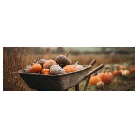 OBRAZ VENKOVSKÁ PODZIMNÍ KRAJINA - OBRAZY ZÁTIŠÍ - OBRAZY