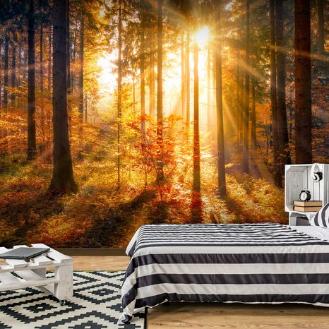 SELF ADHESIVE WALLPAPER WAKING UP FOREST