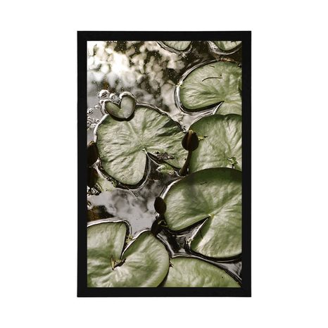 AFFICHE – NÉNUPHARS DANS LE JARDIN - NATURE - AFFICHES