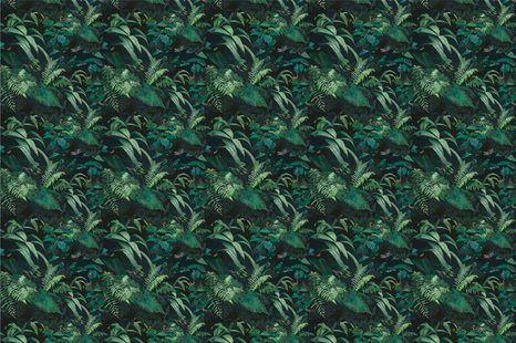 SELF ADHESIVE WALLPAPER DENSE GREEN FOREST - SELF-ADHESIVE WALLPAPERS - WALLPAPERS