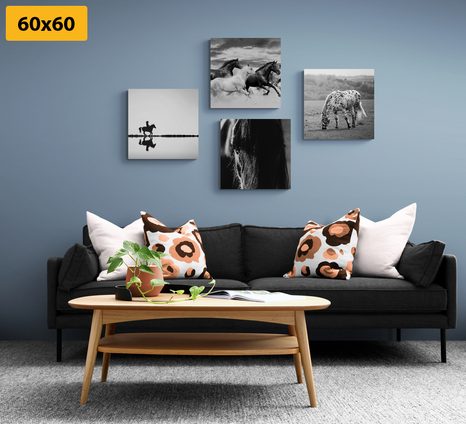 BILDER-SET FÜR PFERDELIEBHABER IN SCHWARZ-WEISS - BILDERSETS - BILDER