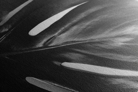 OBRAZ LIST MONSTERY V ČERNOBÍLÉM PROVEDENÍ - ČERNOBÍLÉ OBRAZY - OBRAZY